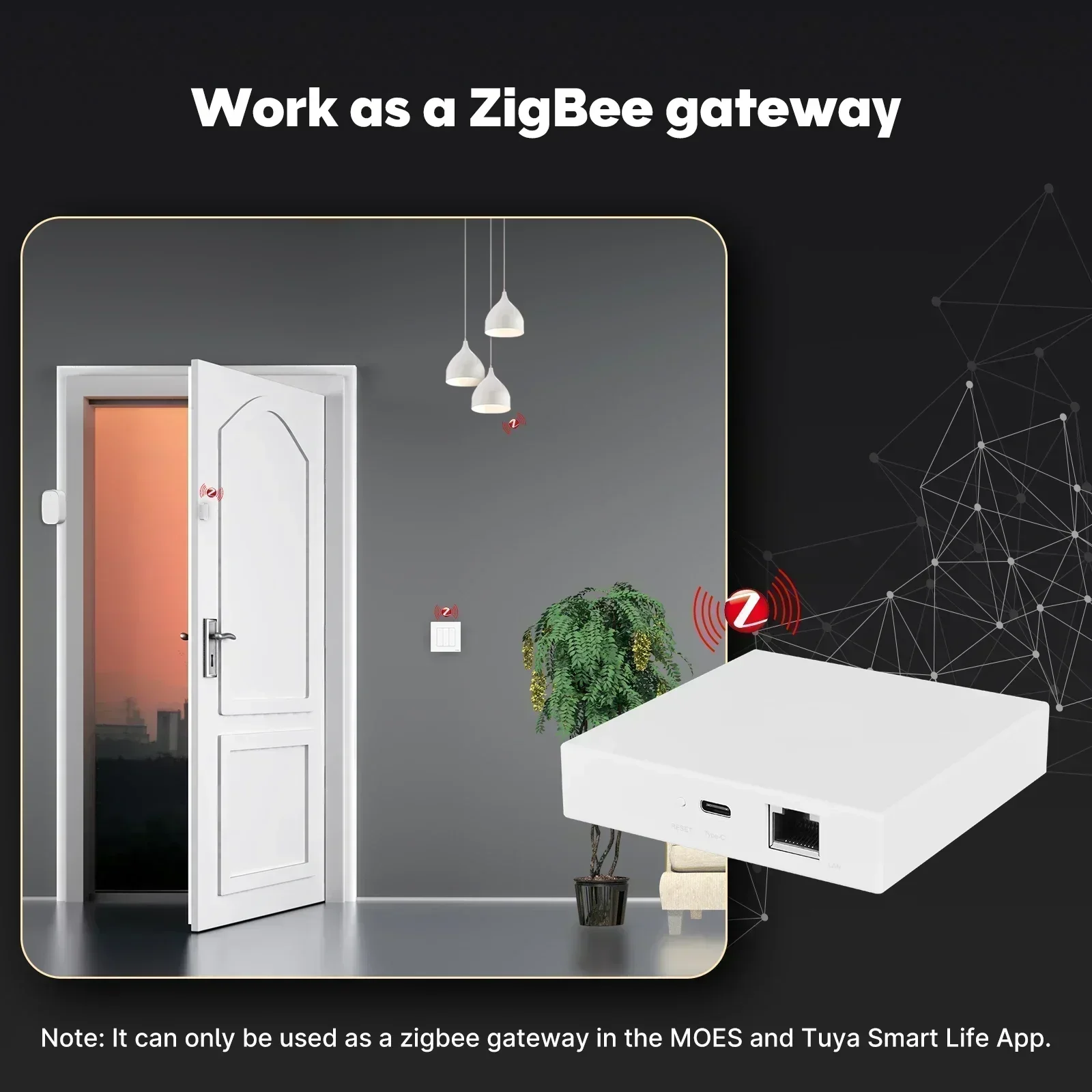 MOES Tuya Zigbee Matter Thread - Smart Home Dashboard บทวิจารณ์และราคา