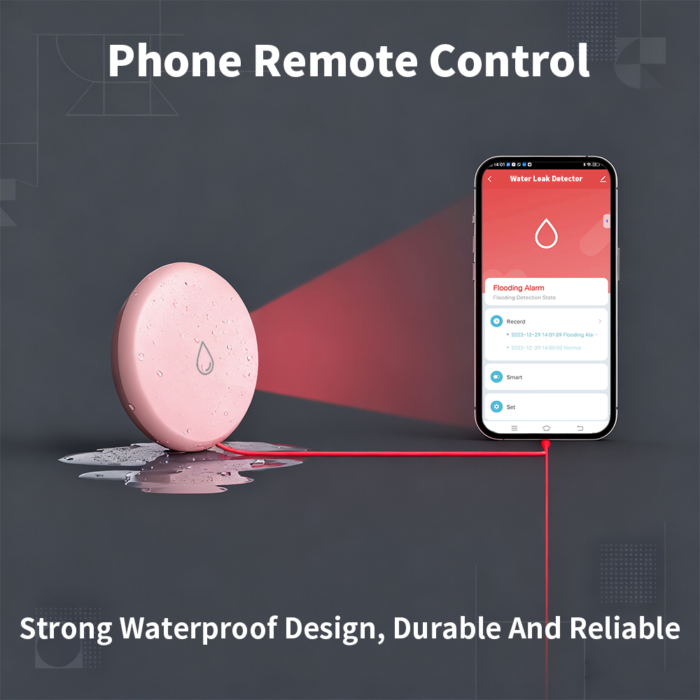 เซ็นเซอร์ตรวจจับการรั่วไหล Zig - Smart Home Green บทวิจารณ์และราคา