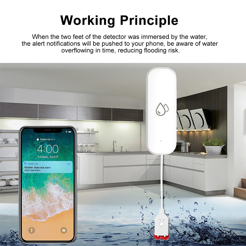 เซ็นเซอร์ตรวจจับน้ำรั่ว Tuya W - Smart Home Green บทวิจารณ์และราคา
